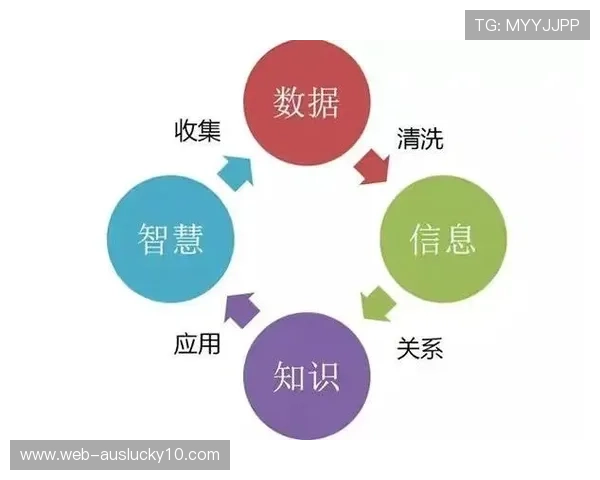 大数据分析技术深度挖掘体育历史资料资产价值